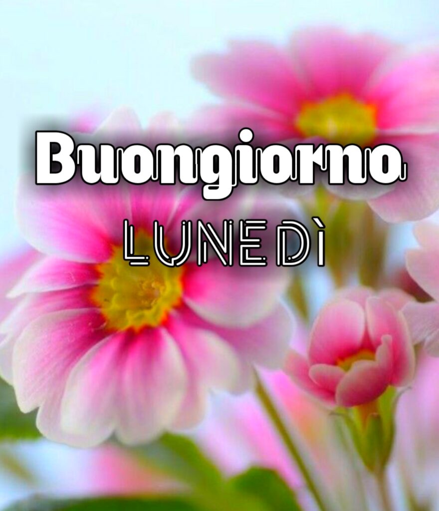 Immagini Buongiorno