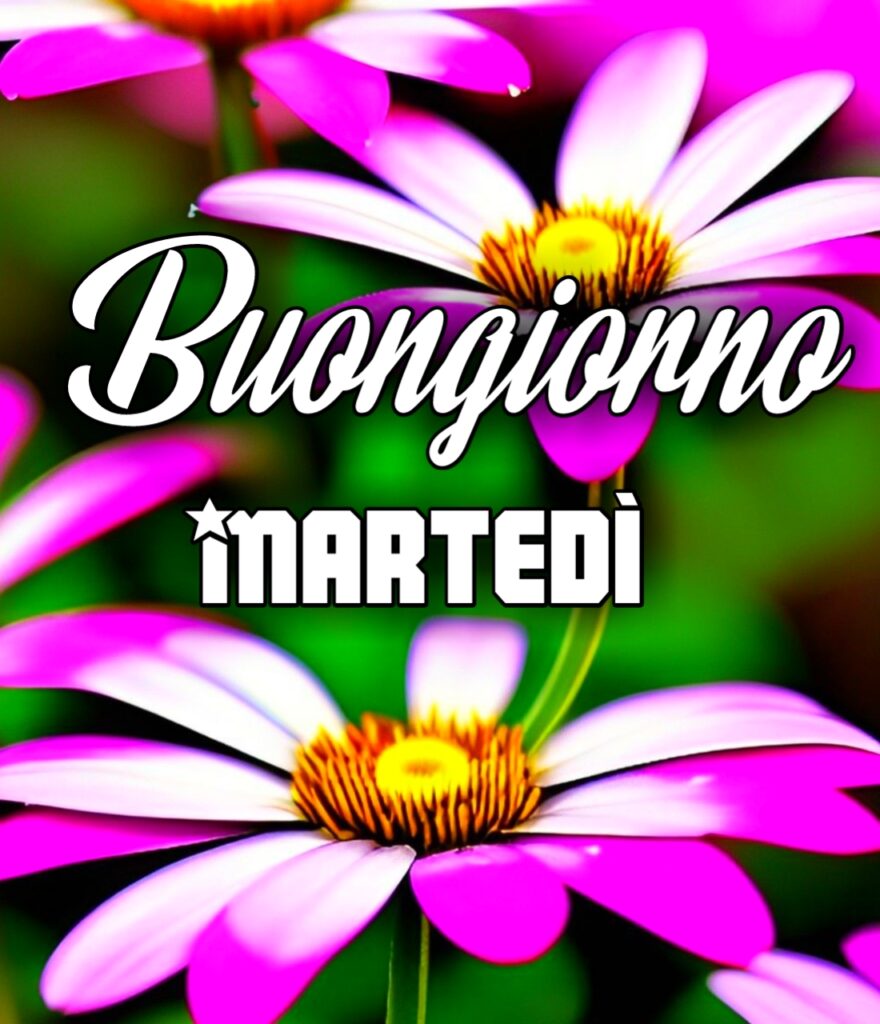 Immagini Buongiorno Buon Martedì