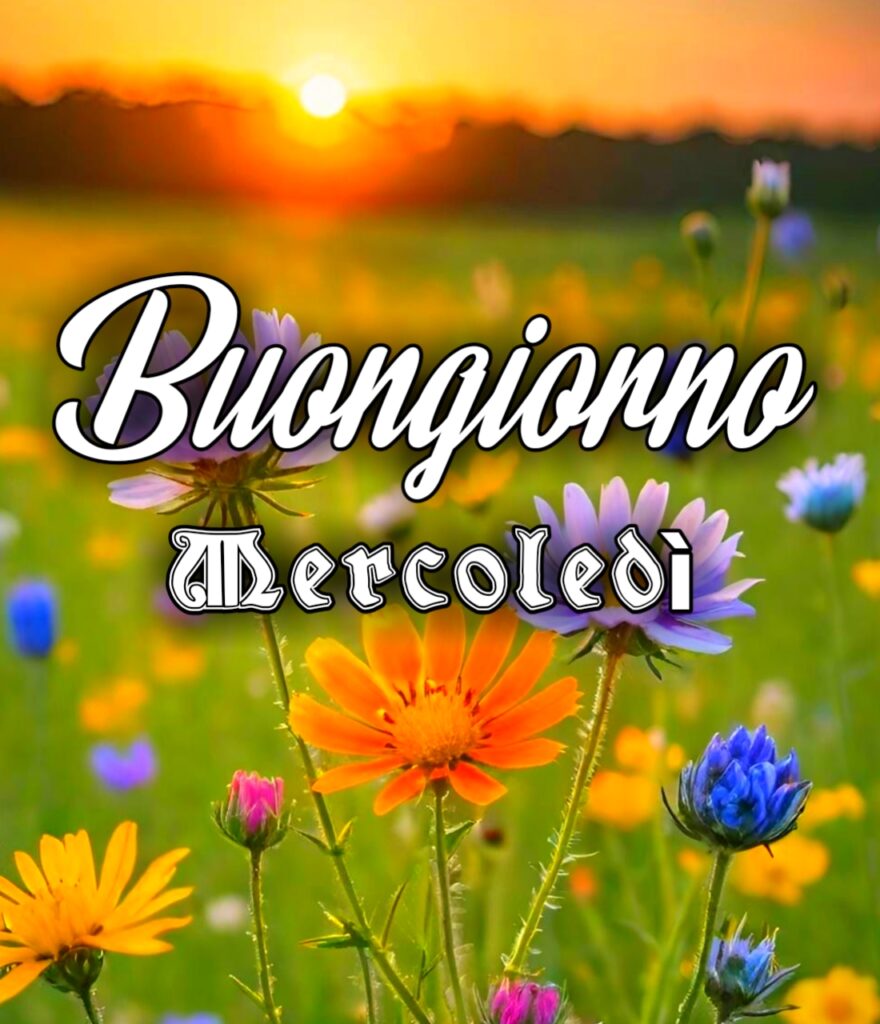 Immagini Buongiorno Buon Mercoledì