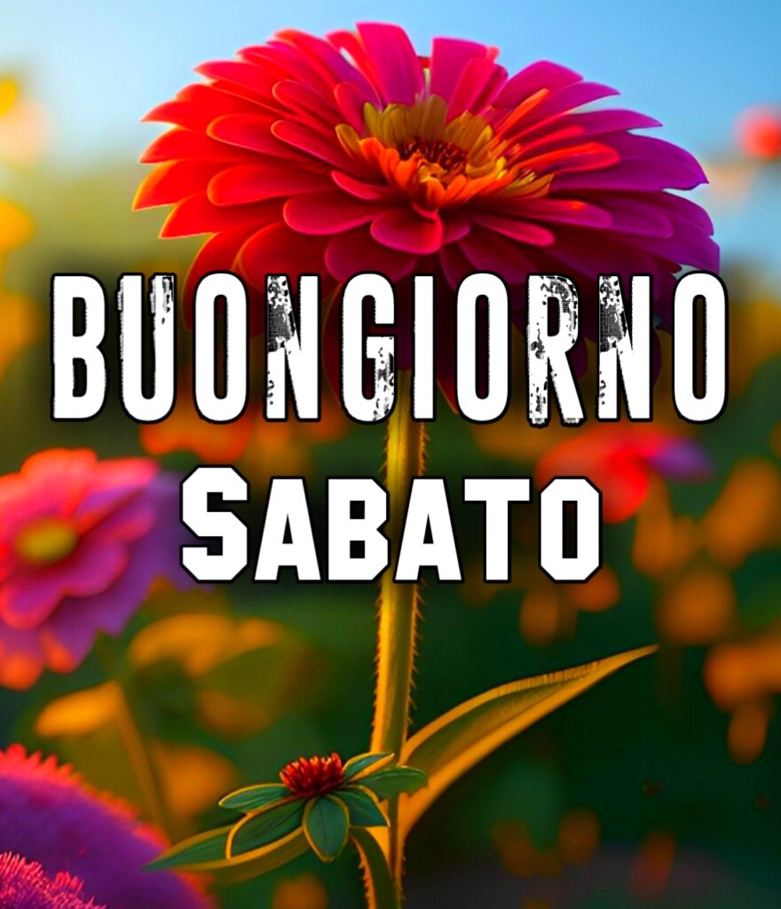 Immagini Buongiorno Sabato