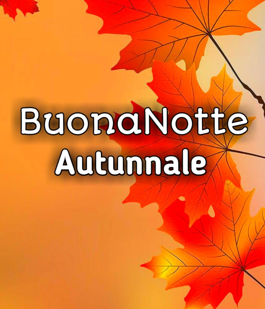 Immagini Di Buonanotte Gratis