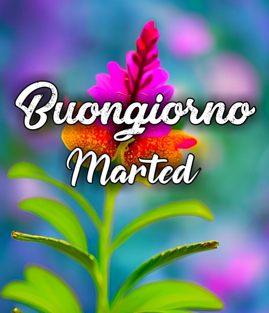 Immagini Di Buongiorno Martedì