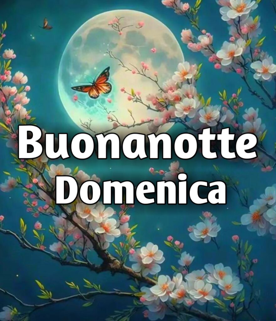 La Buonanotte Della Domenica