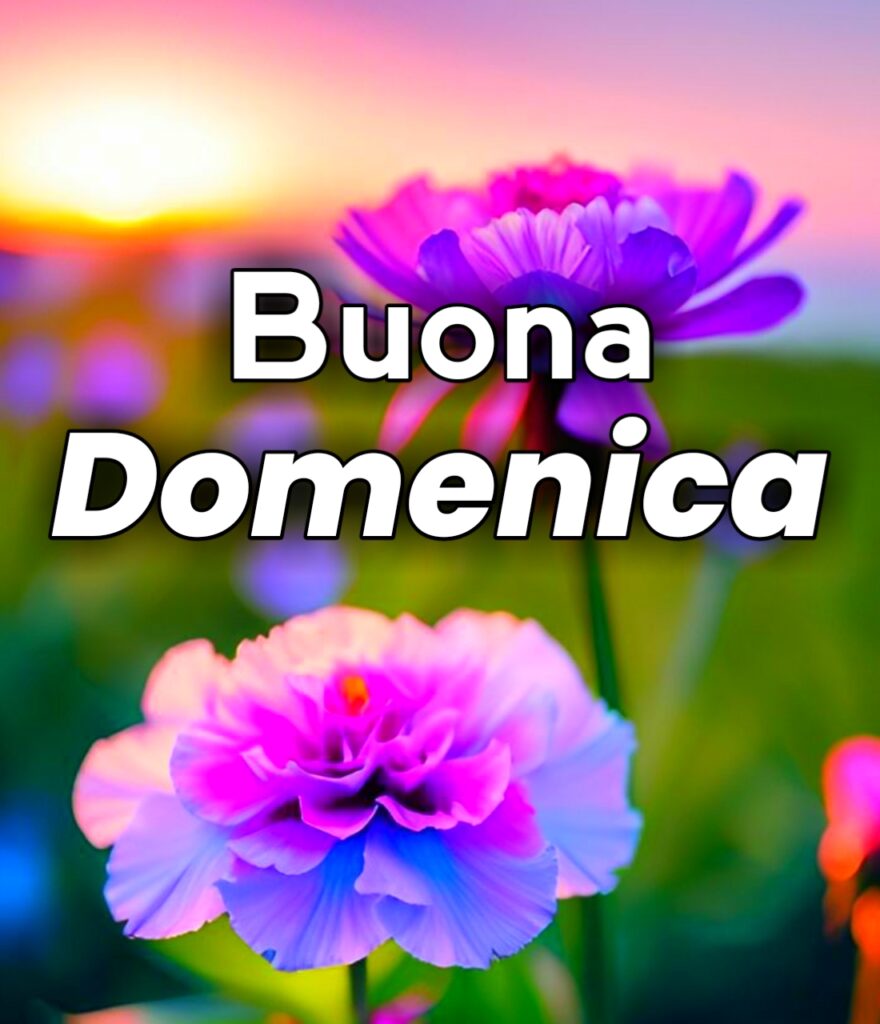 Le Fate Del Sole Buona Domenica Gif