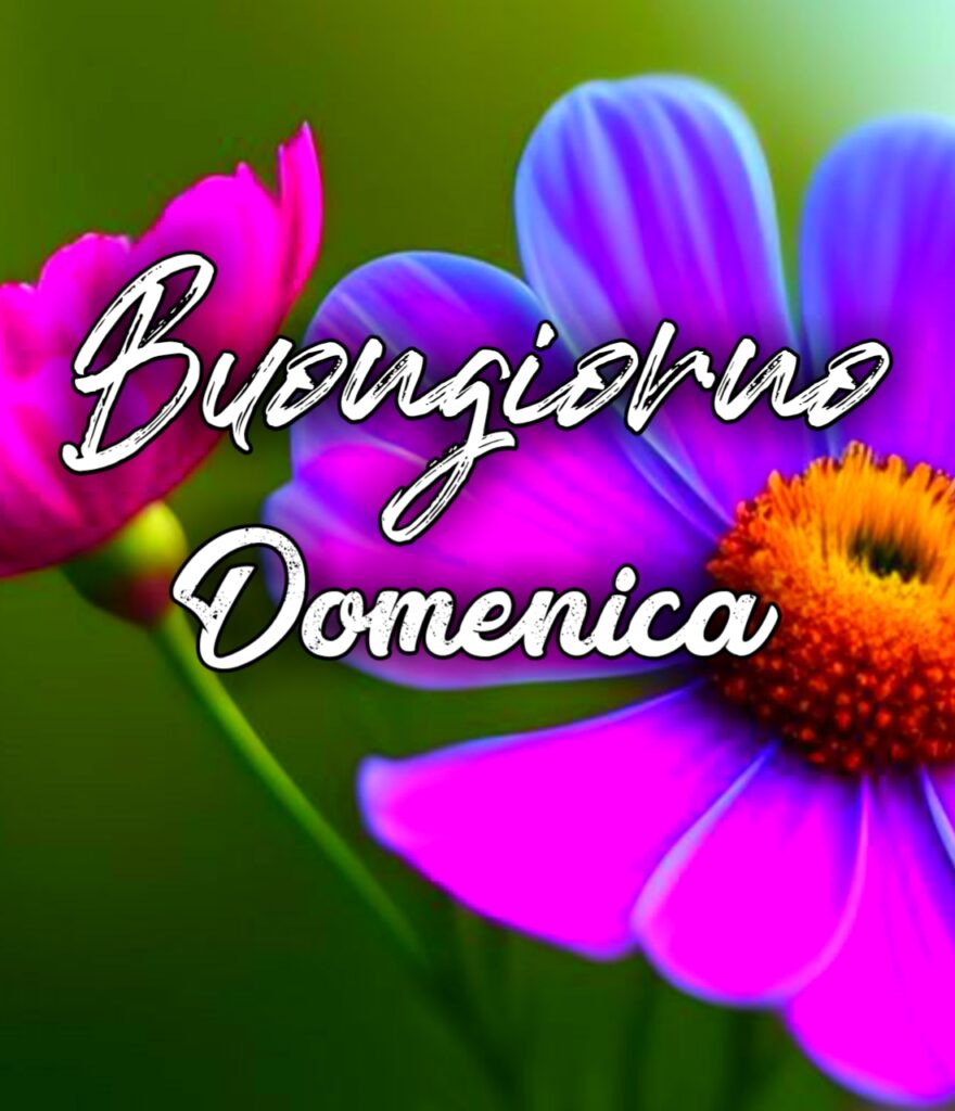 Link Buona Domenica