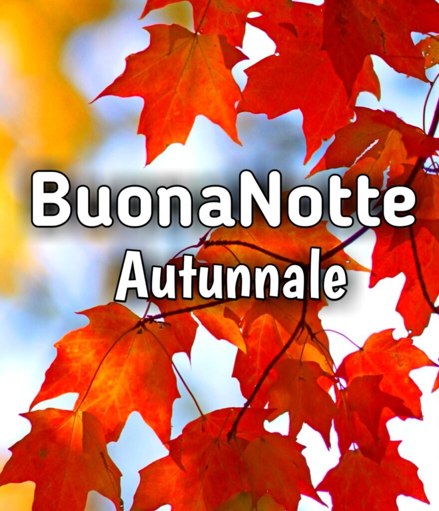 Link Buonanotte Gratis