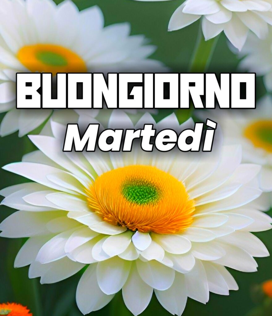 Martedi Buongiorno