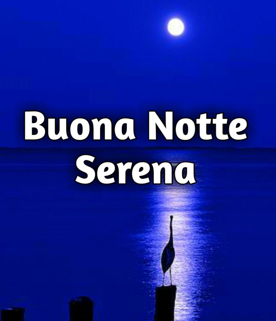 Notte Serena A Domani