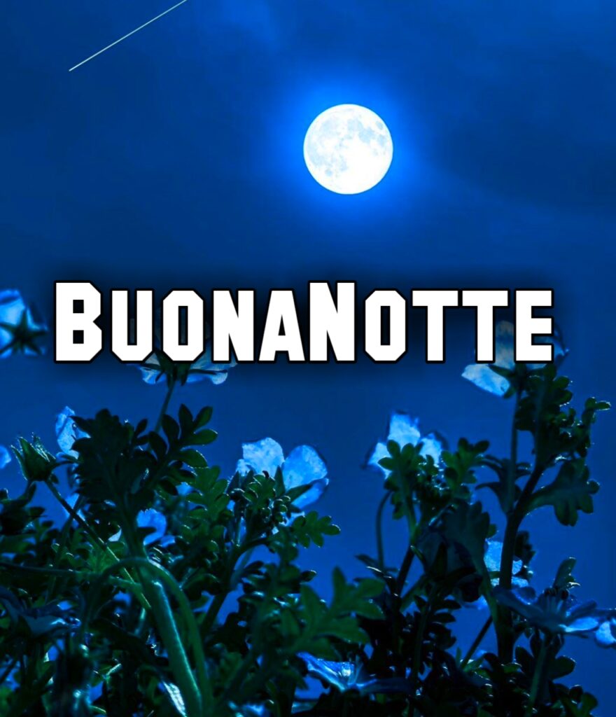 Nuovissimo Originale Nuovissimo Buonanotte Immagini Recenti