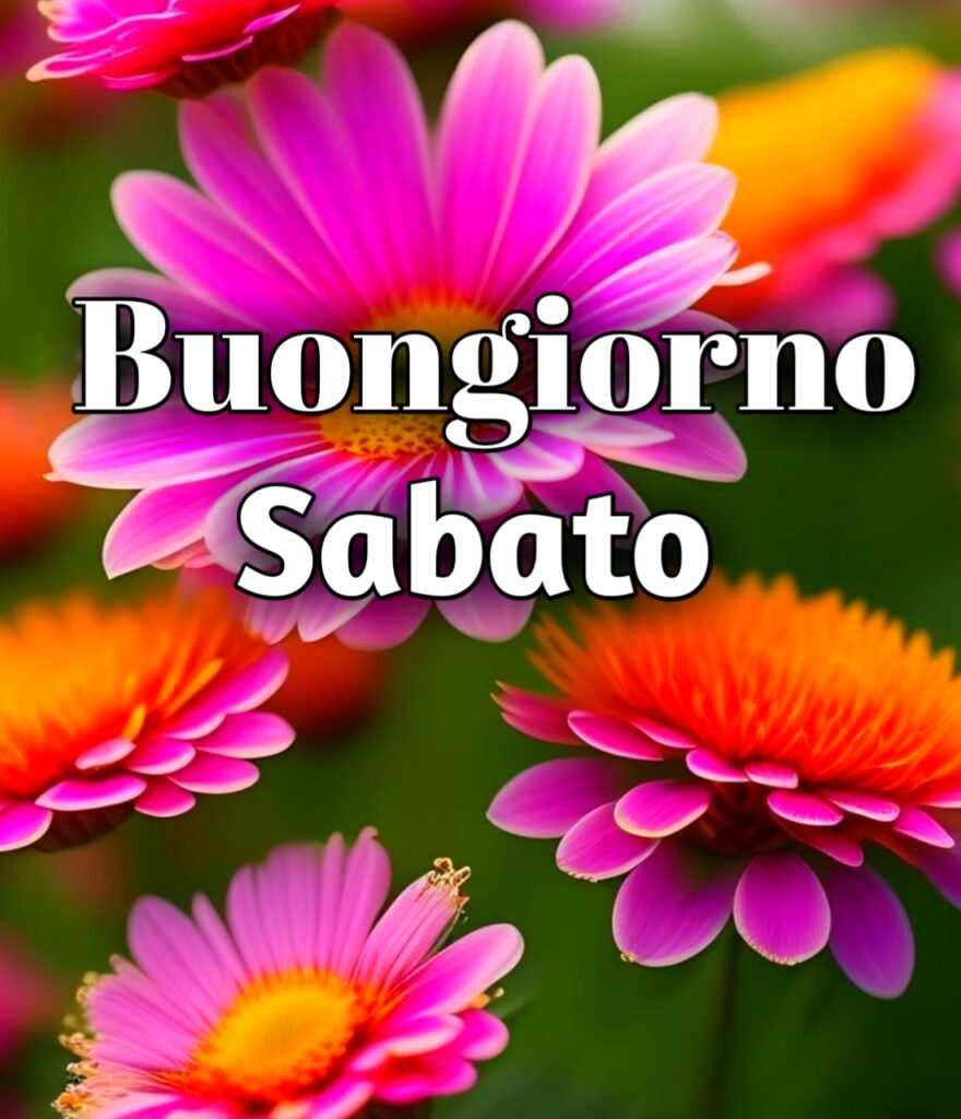 Sabato Buongiorno