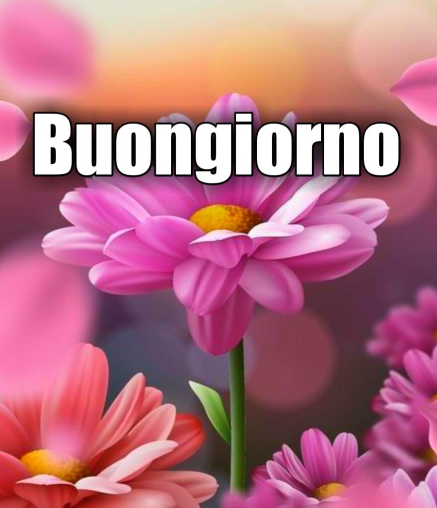 Semplicemente Buongiorno Immagini Nuove Gratis Per Whatsapp