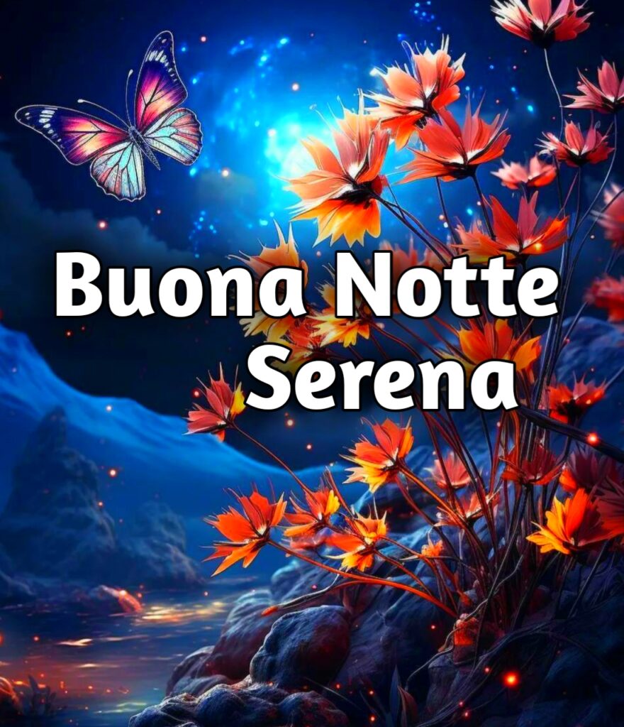 Serena Notte Immagini