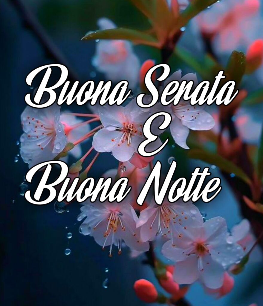 Whatsapp Buona Serata Immagini Bellissime