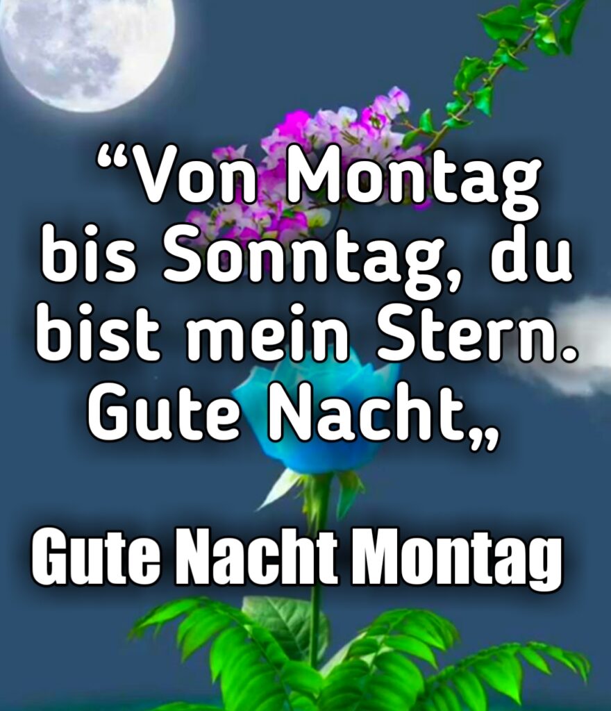 Gute Nacht Montag Lustig