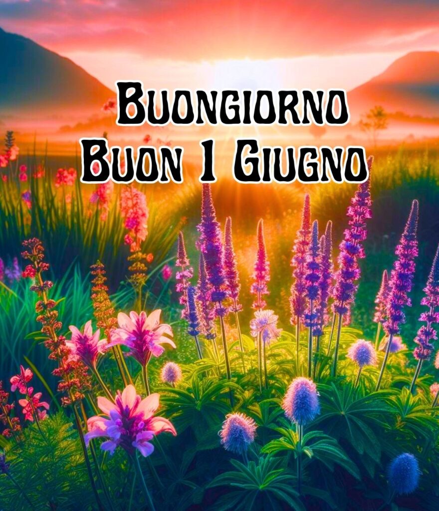 1.giugno Buongiorno