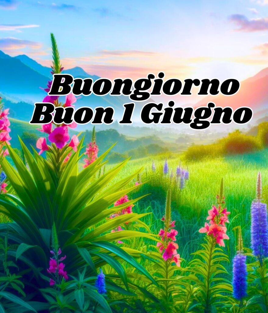 Buongiorno Buon 1 Giugno Immagini