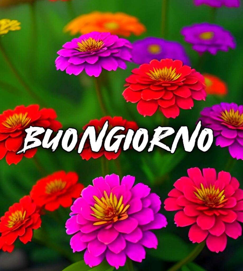 Buon Giorno Gratis 2024