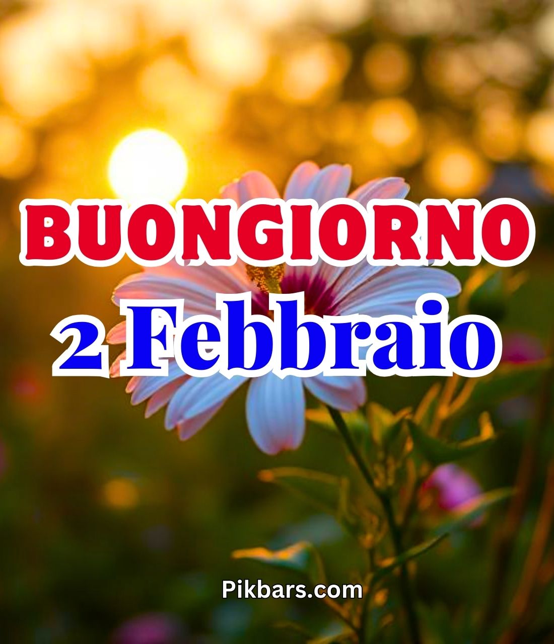 Read more about the article 256+ Immagini Buongiorno Buona Domenica 2 Febbraio GIF, Fotos 2025