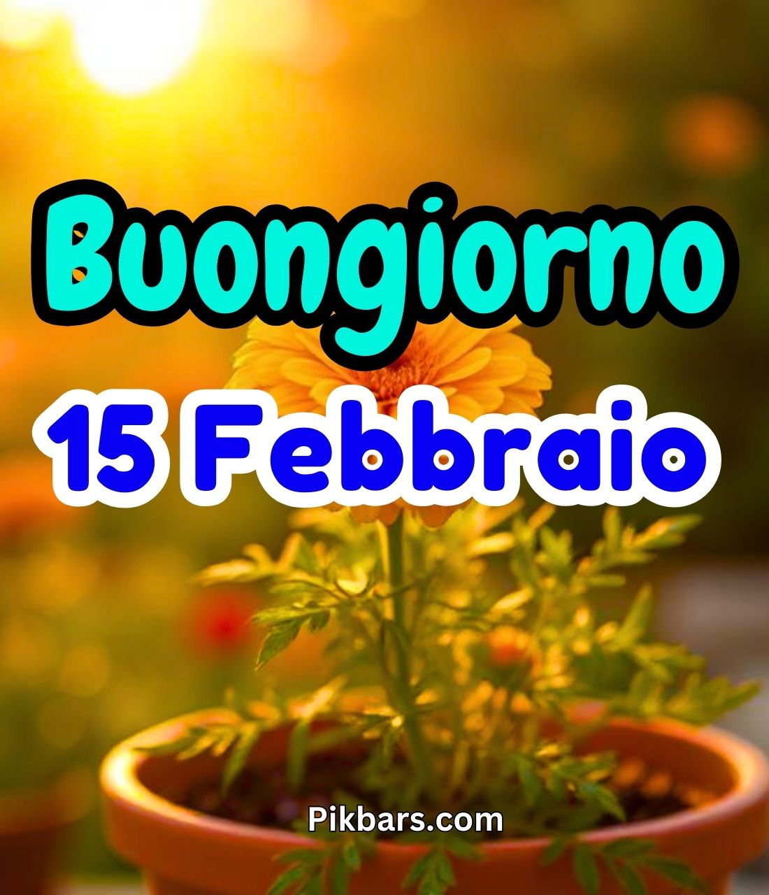 You are currently viewing 284+ Immagini Buongiorno Buon Sabato 15 Febbraio GIF, Fotos 2025