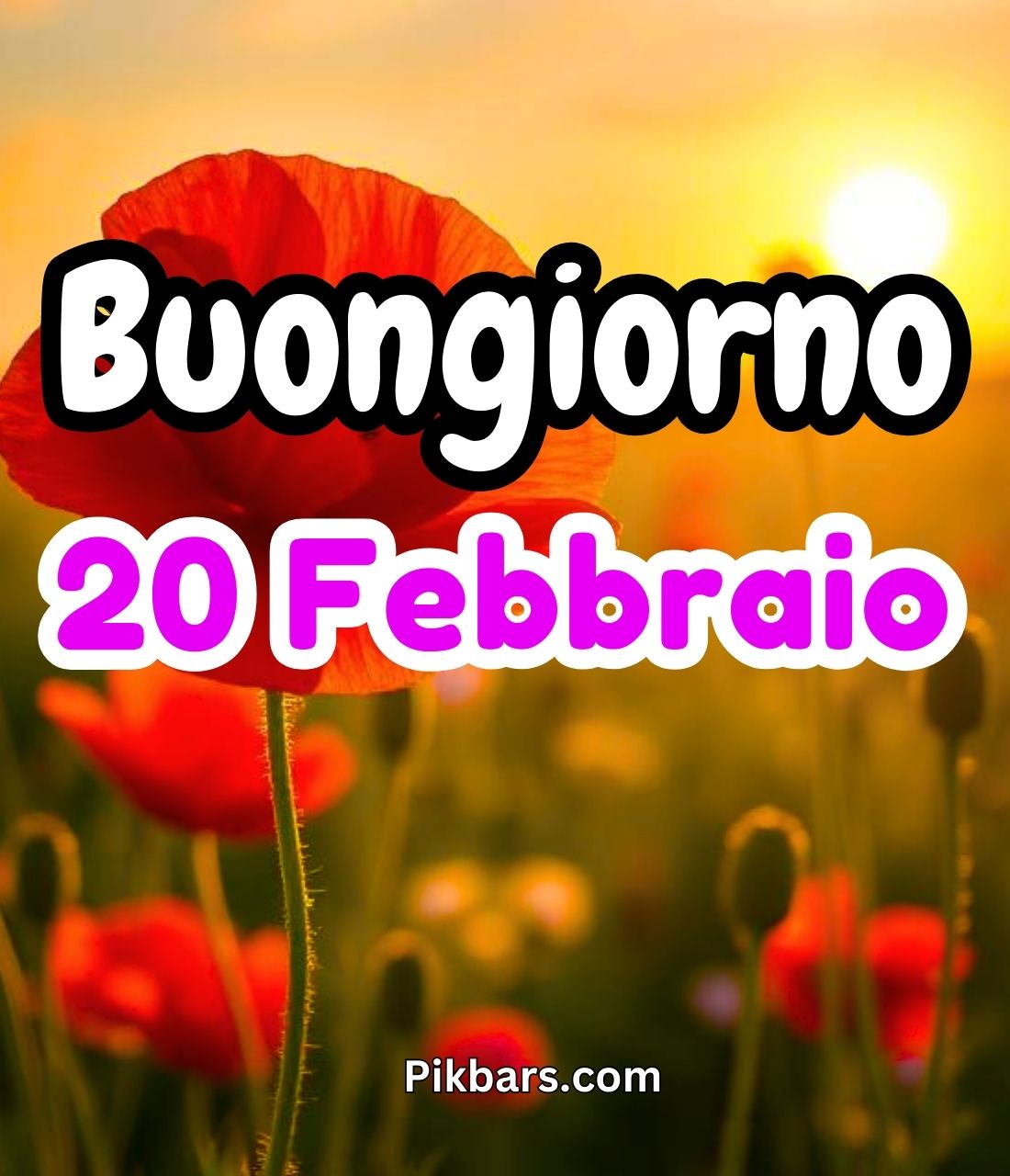 You are currently viewing 252+ Immagini Buongiorno Buon Giovedì 20 Febbraio GIF, Fotos 2025