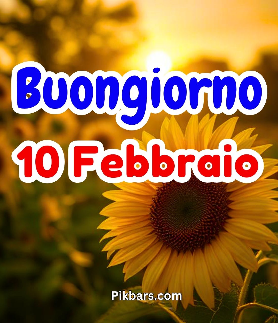 You are currently viewing 248+ Immagini Buongiorno Buon Lunedì 10 Febbraio GIF, Fotos 2025