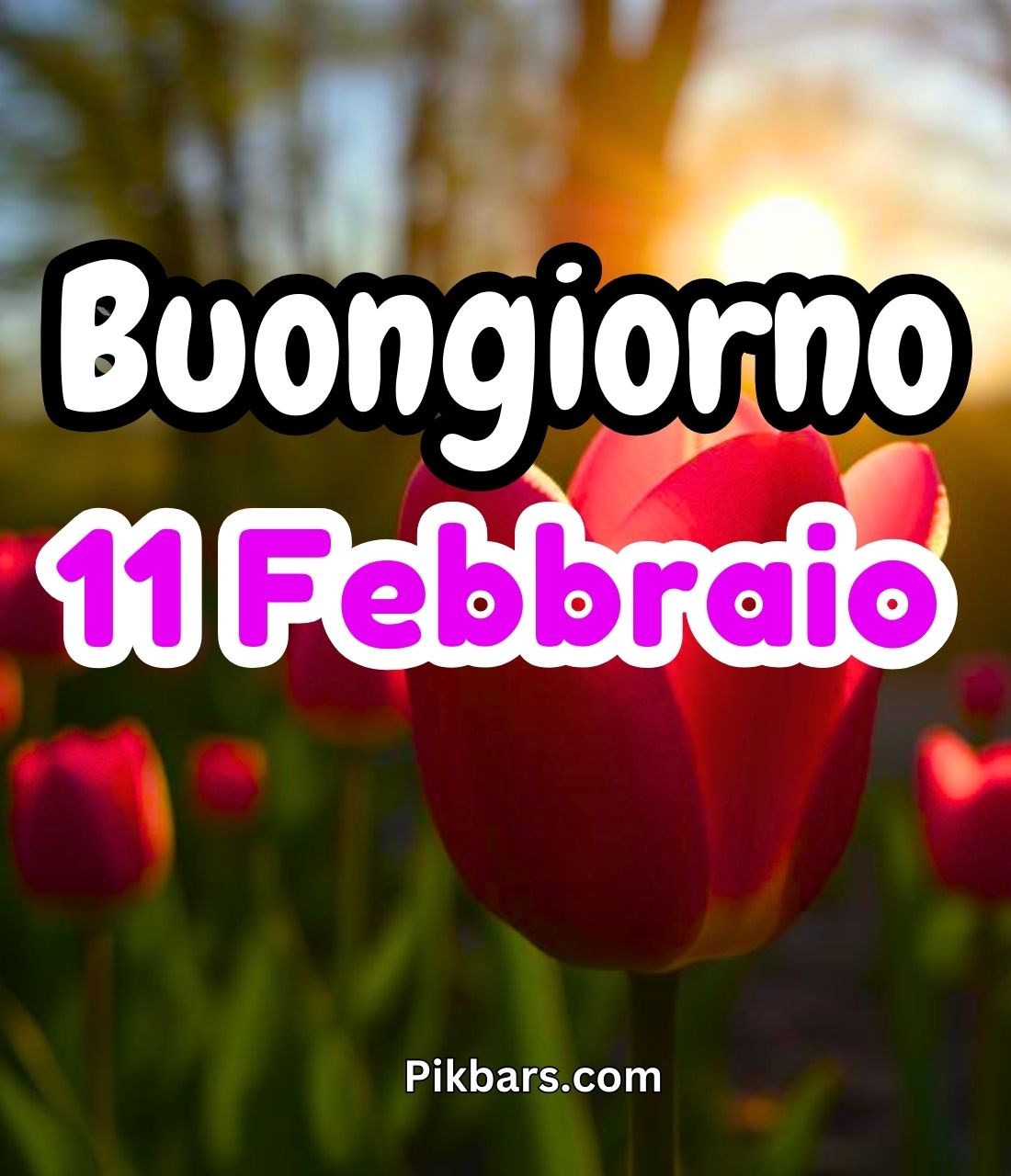 You are currently viewing 239+ Immagini Buongiorno Buon Martedì 11 Febbraio GIF, Fotos 2025