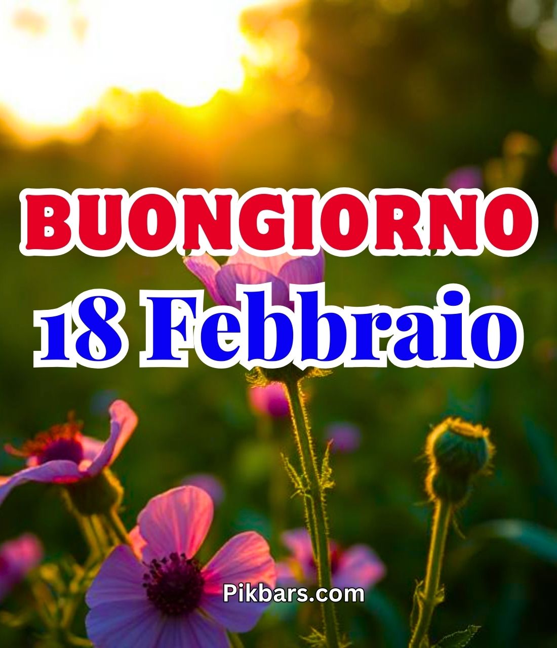 You are currently viewing 274+ Immagini Buongiorno Buon Martedì 18 Febbraio GIF, Fotos 2025