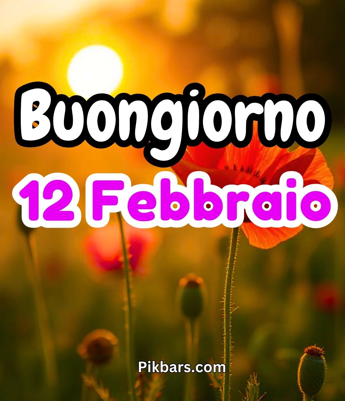 You are currently viewing 258+ Immagini Buongiorno Buon Mercoledì 12 Febbraio GIF, Fotos 2025