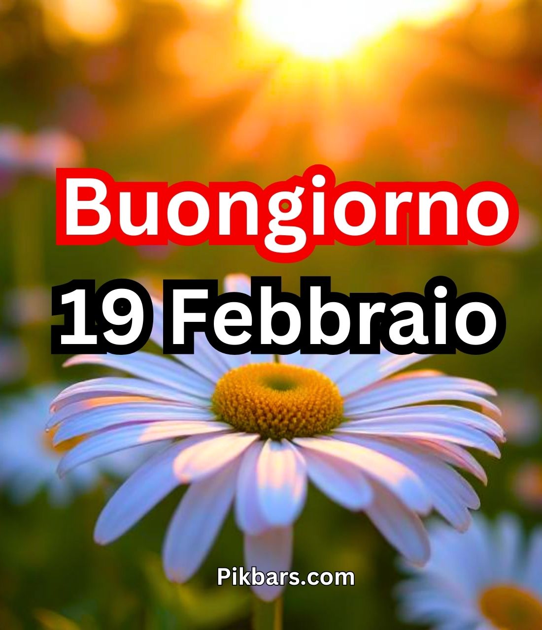 You are currently viewing 258+ Immagini Buongiorno Buon Mercoledì 19 Febbraio GIF, Fotos 2025