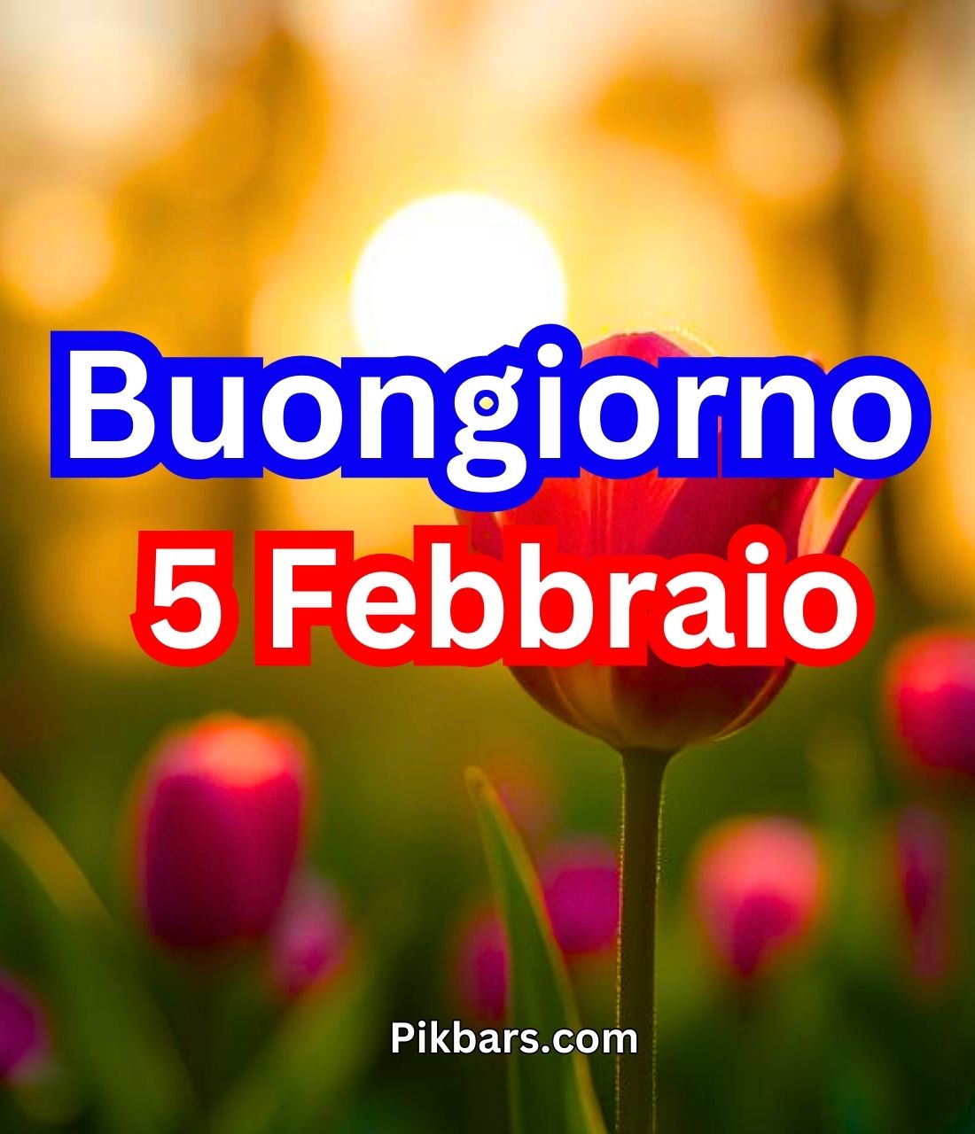 Read more about the article 236+ Immagini Buongiorno Buon Mercoledì 5 Febbraio GIF, Fotos 2025