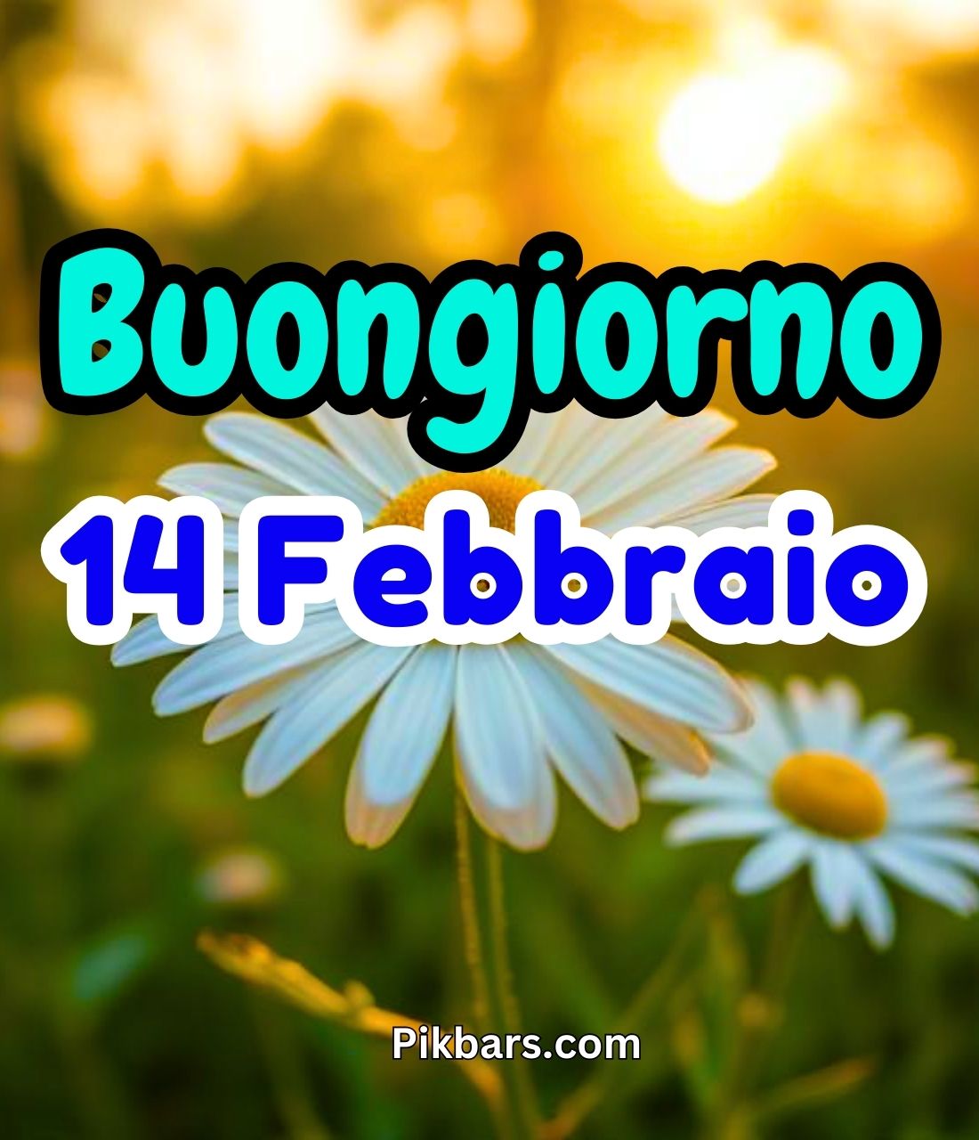 You are currently viewing 294+ Immagini Buongiorno Buon Venerdì 14 Febbraio GIF, Fotos 2025