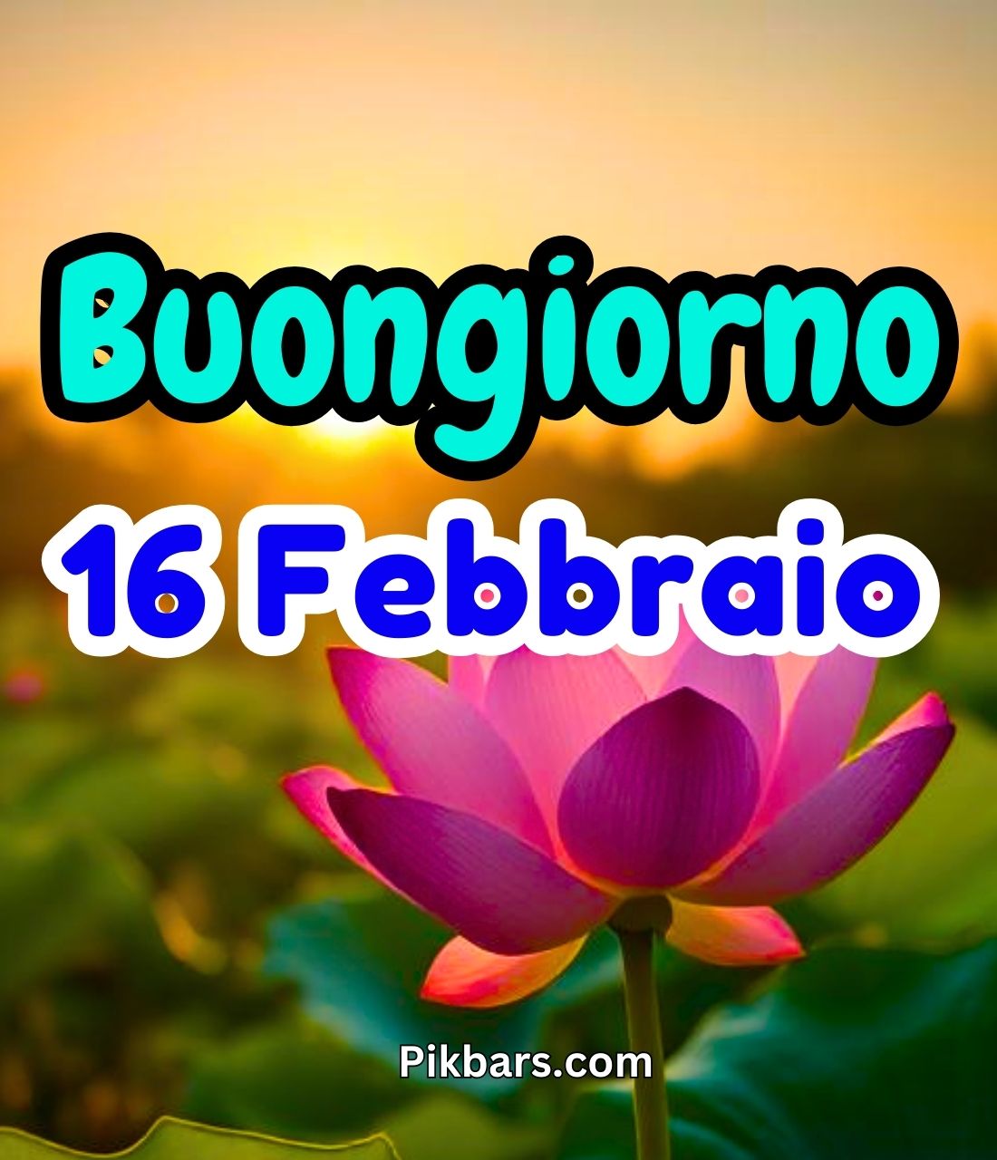 Read more about the article 246+ Immagini Buongiorno Buona Domenica 16 Febbraio GIF, Fotos 2025