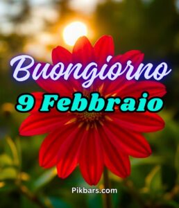 Read more about the article 258+ Immagini Buongiorno Buona Domenica 9 Febbraio GIF, Fotos 2025